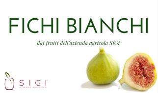 Sorbetti gourmet per gelateria-FIchi Bianchi